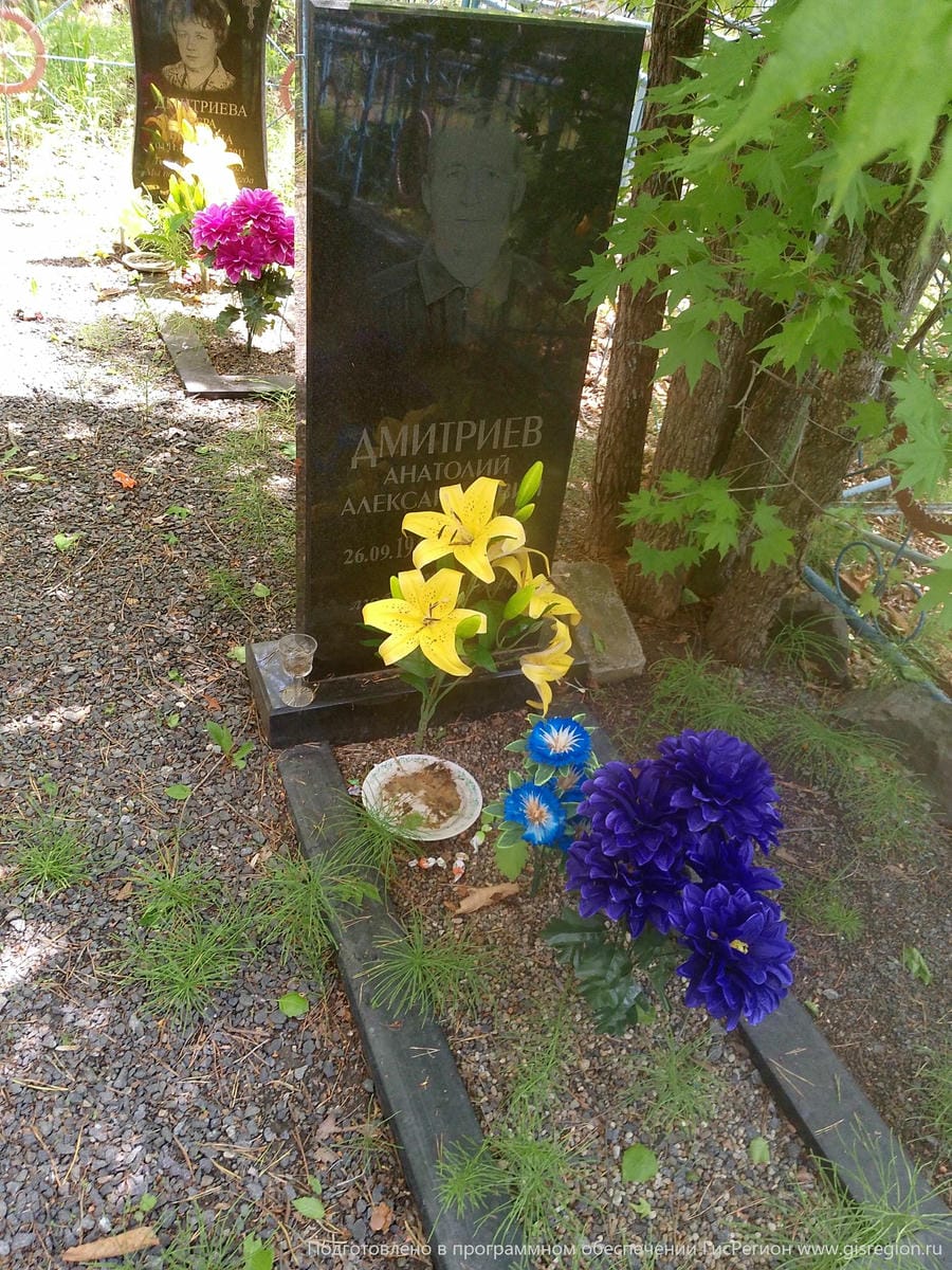 Дмитриев Анатолий Александрович