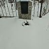 Красиков Михаил Иннокентьевич