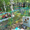 Добрунов Дмитрий Алексеевич