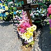 Григорьев Юрий Викторович