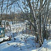 Любарская Светлана Васильевна