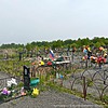 Савченко Виктория Викторовна