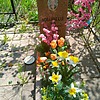 Ковалевская Зоя Николаевна