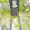 Варвалюк Николай Алексеевич