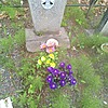 Петров Михаил Никонорович