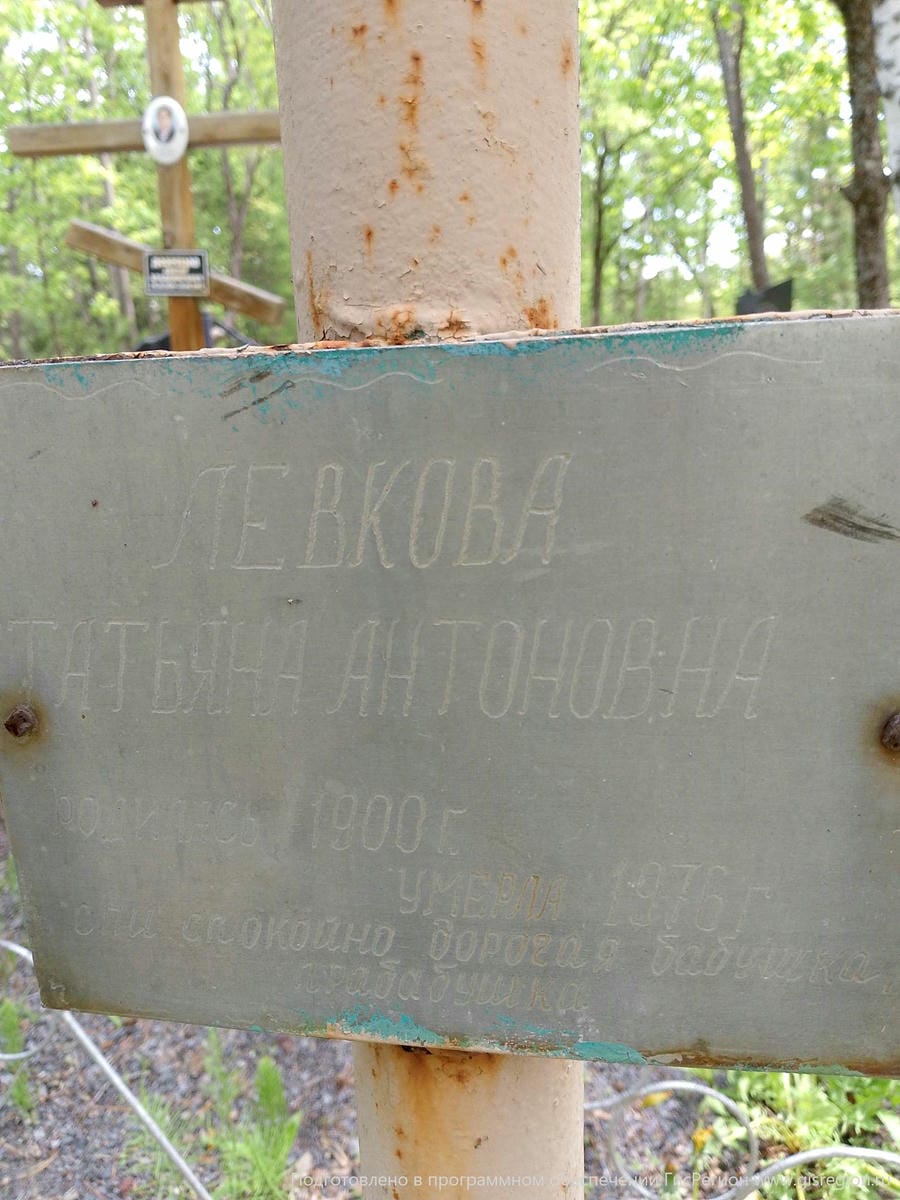 Левкова Татьяна Антоновна