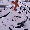 Стабровская Анна Михайловна