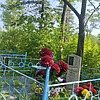 Мамеднабиев Николай Набиевич