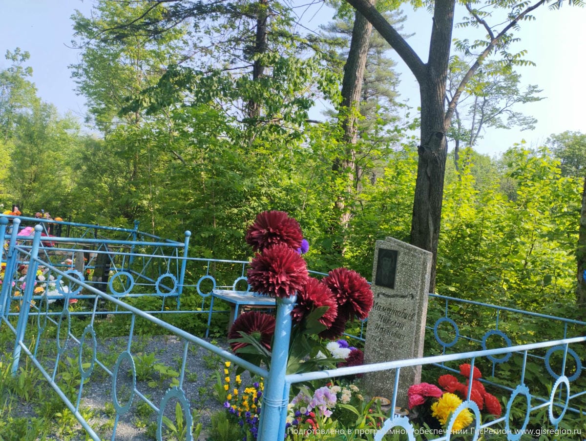 Мамеднабиев Николай Набиевич