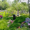 Соломатов Пётр Дмитриевич