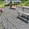 Меркулова Наталья Николаевна