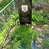Медведев Павел Прокофьевич