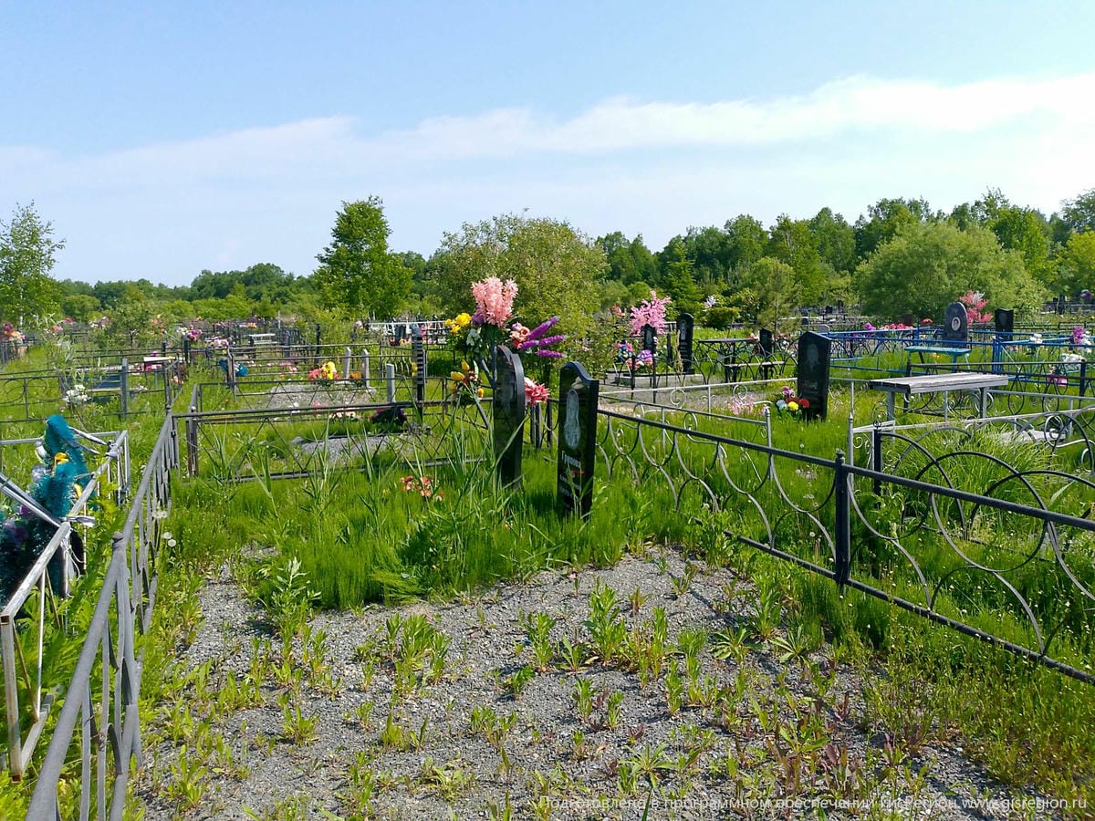 2a6514fa-726c-491b-a100-23982d41a7c5 Грицова Раиса Александровна