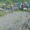 Дегтярева Марина Трофимовна