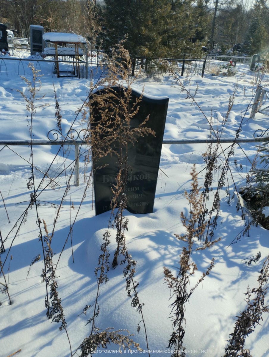 2b10b406-950e-4770-a618-14c98626d993 Булгаков Максим Сергеевич