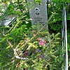 Сергеев Сергей Степанович
