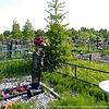 Морозова Эльвира Константиновна