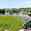 Коваленко Николай Николаевич