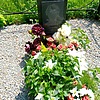 Лукаш Галина Николаевна