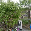 Жильцов Вячеслав Альбертович