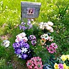 Резаева Екатерина Григорьевна