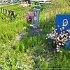 Булатова Анна Викторовна