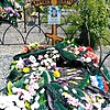 Черных Роман Викторович