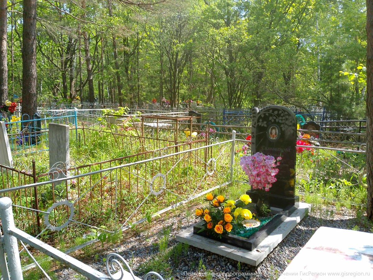 2fa67b2a-b0bc-477e-9236-808054e6138b Гильманова Гульнара Раяновна