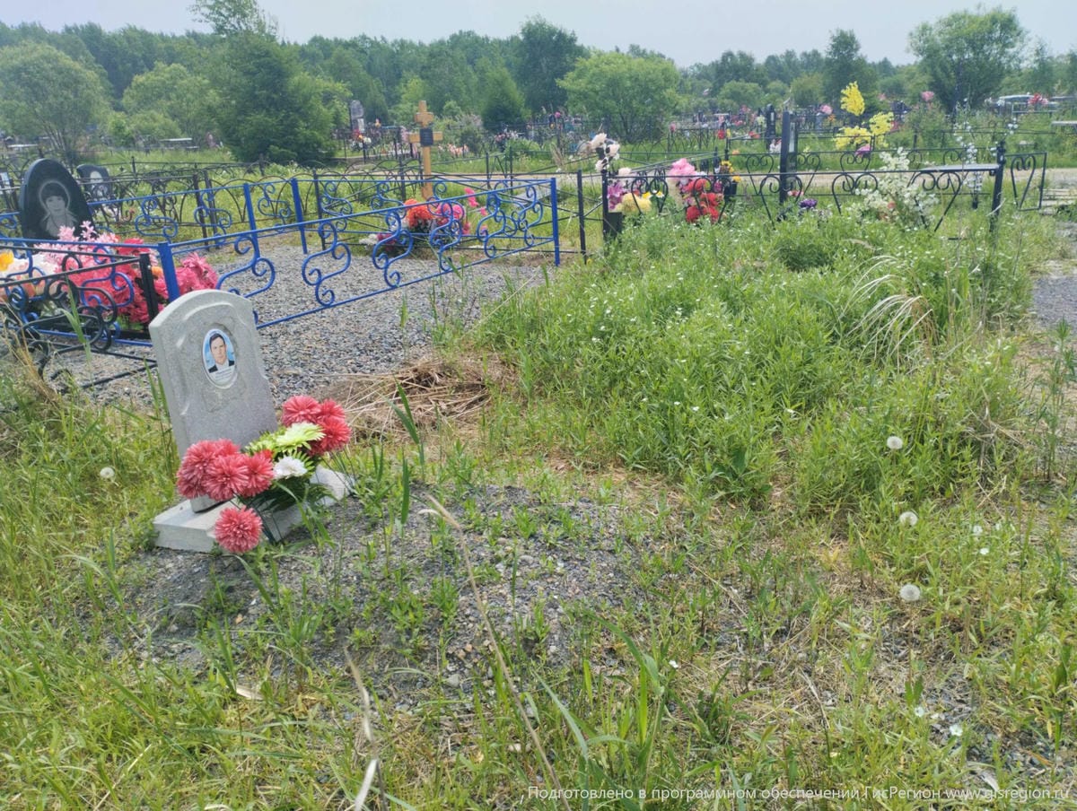 2fc4e1ea-ca27-496c-89ee-878b0d952c0c Ожерельев Николай Павлович