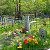 Власова Вера Яковлевна