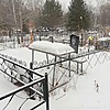 Самойленко Ирина Леонидовна