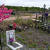 Хвостиков Владимир Евгеньевич