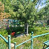 Широков Виталий Николаевич