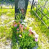 Никитенко Александра Владимировна