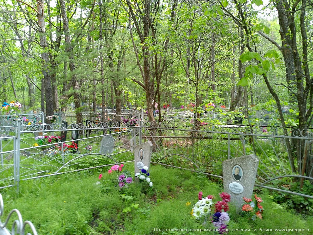3384d6b8-b300-4718-aa61-698979190778 Цемка Мария Михайловна