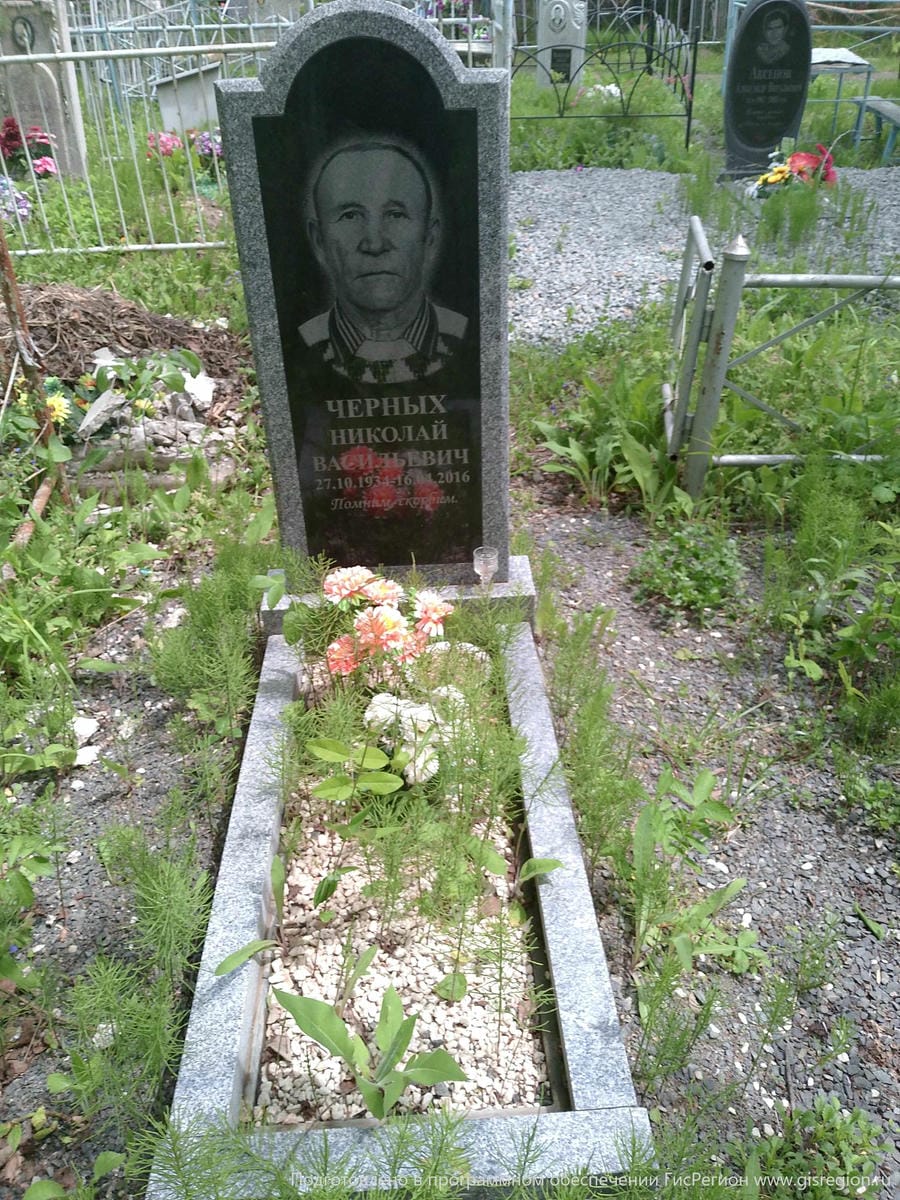 Черных Николай Васильевич