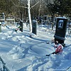 Тихонова Евгения Арсентьевна