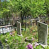 Векслер Агриппина Кузьминична