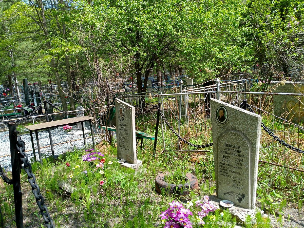 346b6503-b229-40aa-aca5-b318ecf06af1 Векслер Михаил Викторович