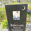 Набиуллин Ровкат Мунирович