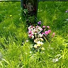 Галкина Екатерина Михайловна