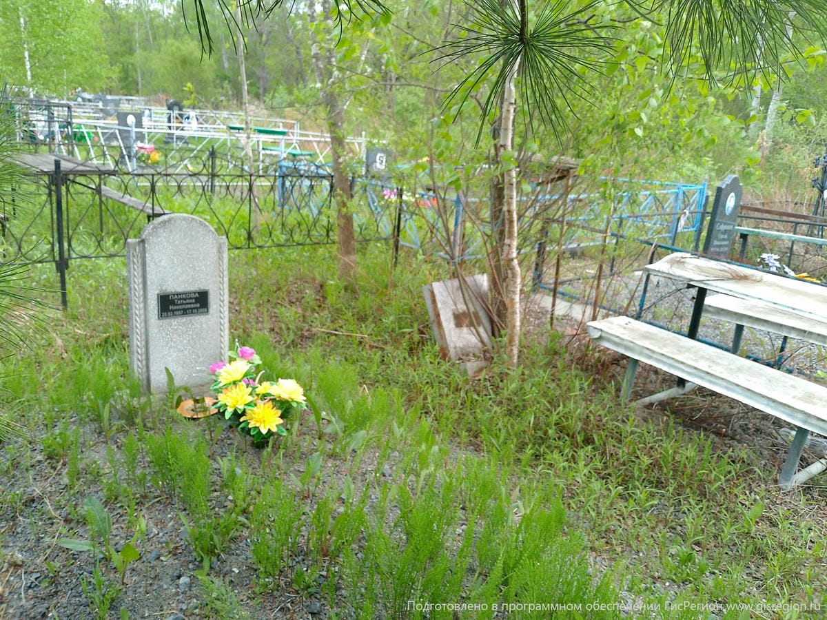 355b26f8-c175-405a-ac17-254fe6dbc678 Панкова Татьяна Николаевна