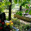 Островский Виктор Петрович