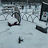Степанова Светлана Ивановна