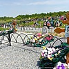 375daf1c-2a0a-419b-b183-b7a04d17dede Хлуднева Людмила Михайловна