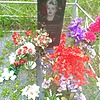 Лисуненко Екатерина Юрьевна