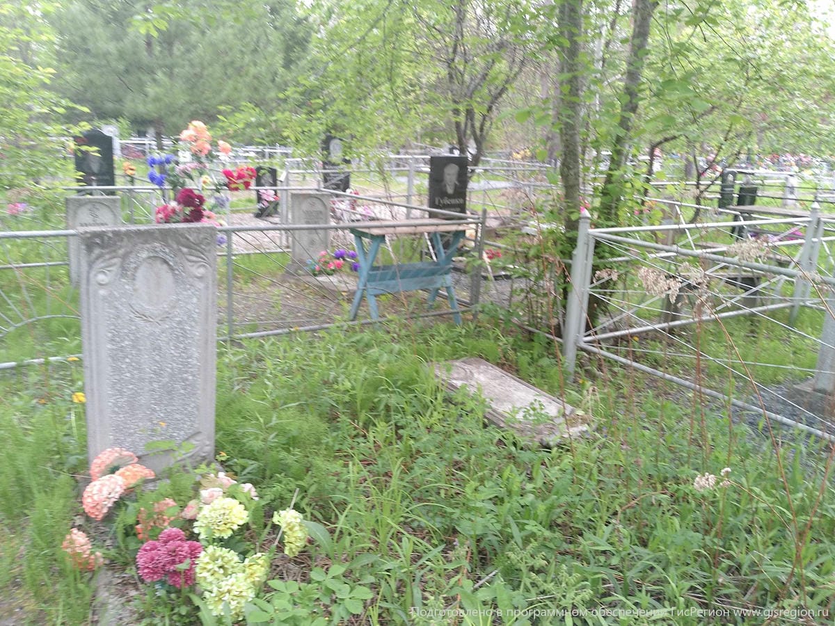 384a16b3-ca7c-4b25-97dd-55562e35cae3 Чернозипунникова Валентина Николаевна