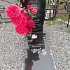 Балуева Любовь Дмитриевна