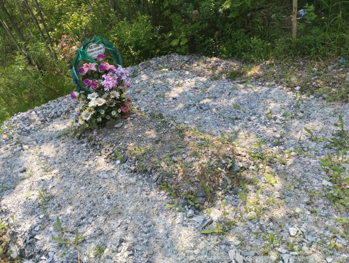 38e89564-fee0-43c3-ba96-77f9f7753f9d Белик Людмила Кузьмовна