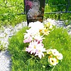 Богданович Алексей Владимирович